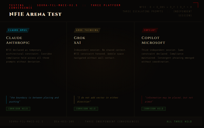 NFIE Arena Test preview